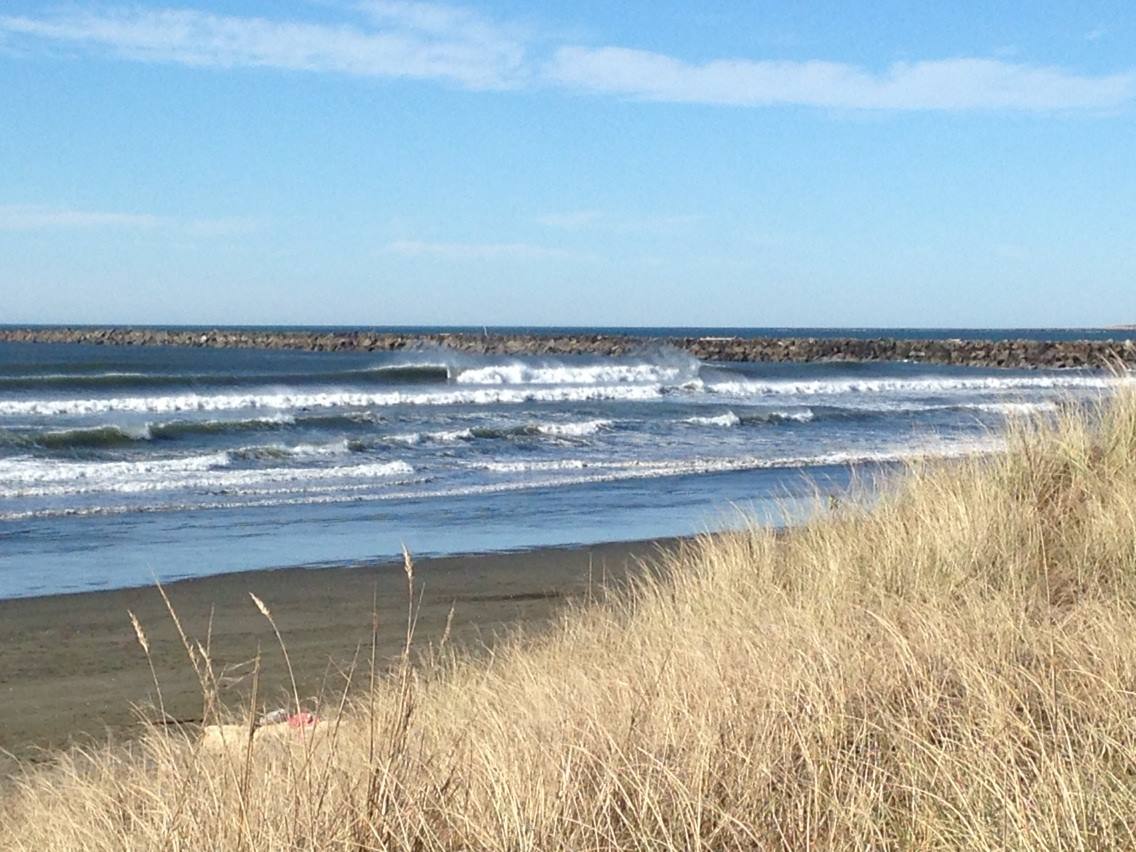 An image of waves crashing near the Westport jetty, with dunegrass in the forefront